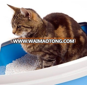 Bentonite Cat Litter